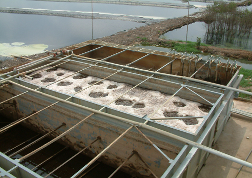 Bãi chôn lấp chất thải rắn sinh hoạt hợp vệ sinh Tam Tân